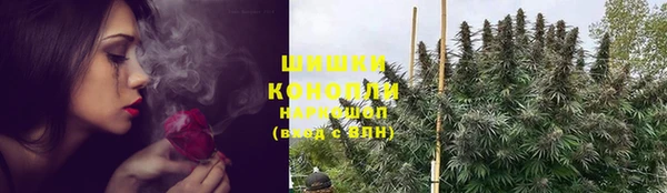 прущие крисы Каменка