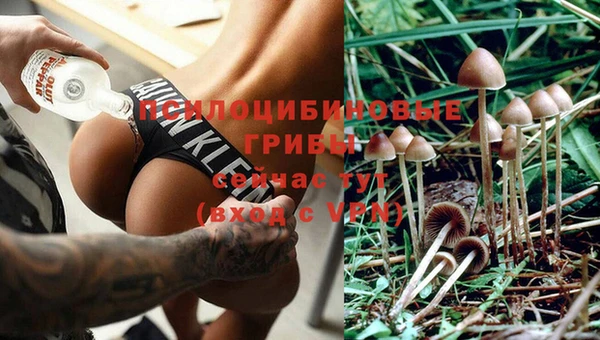 марки lsd Каменск-Шахтинский