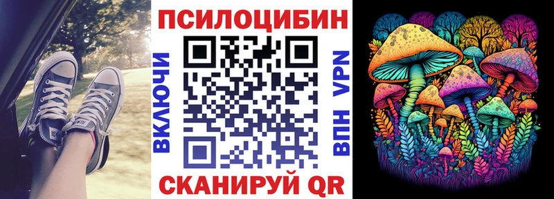 Купить где  Удомля  Псилоцибиновые грибы ЛСД 