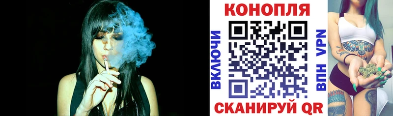 Бошки марихуана сатива  Купить закладки  Удомля 